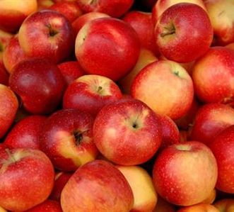 Duplicate of Artisan cider making course